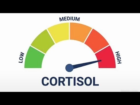 Gmod Derby crash out!