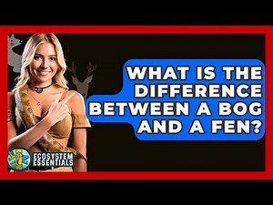 What Is The Difference Between A Bog And A Fen? - Ecosystem Essentials