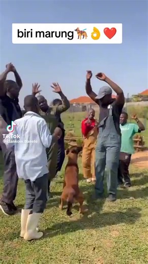 Videos de poly (@poly1288) con “son original - poly”