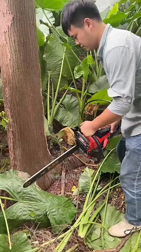 Massive Log Cutting for Firewood Prep!  . . . #Chainsaw #WoodCutting #Firewood #LogCutting #Logger #StumpRemoval #DIYProjects #OddlySatisfying #USA #Reelsfb #Reels #Powertools #fblifestyle | Tree Cute | Facebook