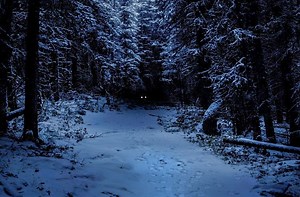 10 Military Encounters with Monsters That Make you Wonder "What the Hell?"