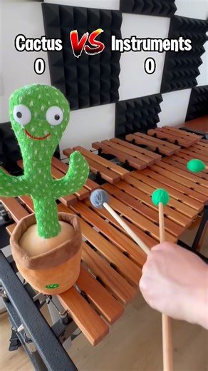 Playing instruments with a cactus creates unexpected music