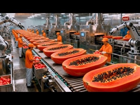 Inside a Modern Papaya Factory: From Farm to Dessert (The Whole Process)