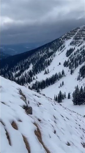 Mountain Goat Gives Birth… Then a Wolf Appears