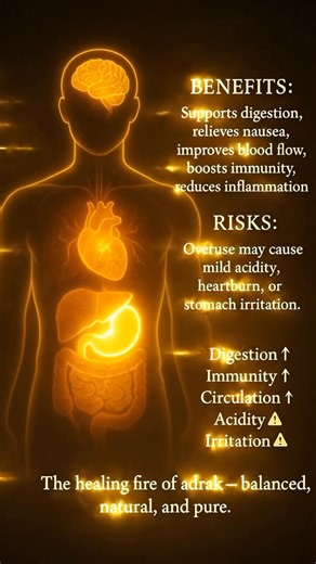 628K views · 8.8K reactions | What happens when you eat ginger inside human body  #health #HealthyEating #viralreels #healthtips #health #USAHealthTips #fbreelsfypシ゚ | Daily health | Facebook