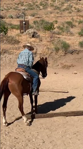 Teaching Clovis how to sidepass…
