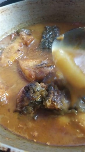 today Lunch thali katla menu 🐟😋🍛#shorts #youtubeshorts #