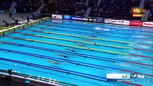 18K views · 256 reactions | 50 mariposa masculino - Semifinal 2 -...