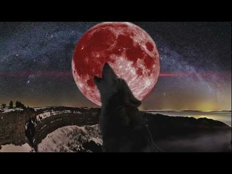 The Devil of Culiacan the teaser movie