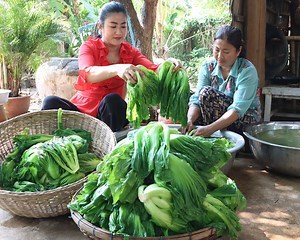 106K views · 5.7K reactions | Mother and daughter cooking, Pickled Mustard Green processing and cooking - Countryside food cooking | FOOD & COOK | Facebook