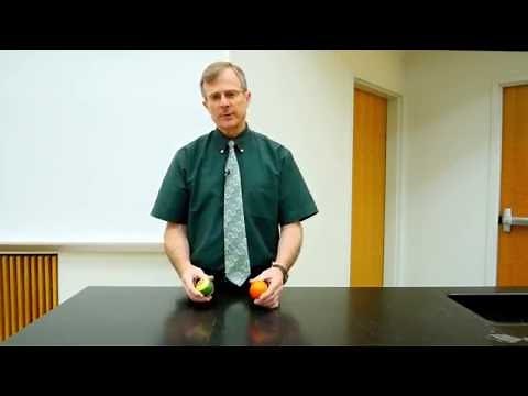 Collisions Demo: Billiard Balls