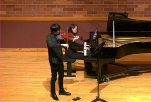 Arpeggione Sonata in A minor 1st movement by Franz Schubert --Viola