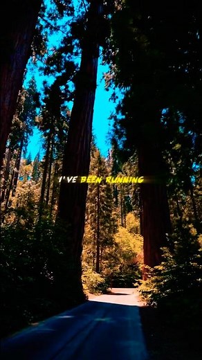 Wolves - Marshmello and Selena Gomez ¦ Slowed Reverb ¦ Asthetic LoFi Music ¦ Lyrics Remix #lofivibes