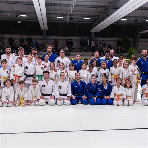Judo Pro League