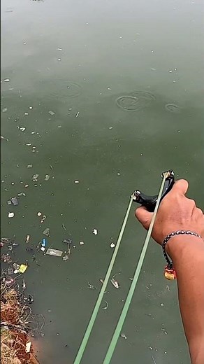 how to play the fish slingshot #fishing #slingshotfishing