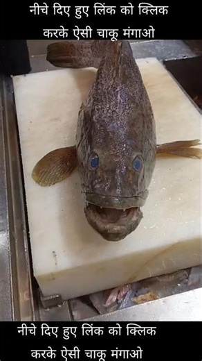 Amazing Grouper Fish Cleaning 😱 🐠 Must Watch #fish #shorts