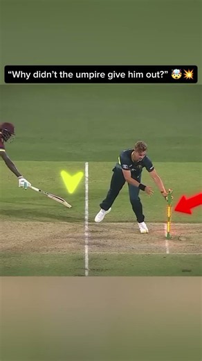 “Why didn’t the umpire give him out?”. #cricketaddict