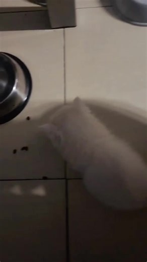 #crunchy #yummy 😋☺️