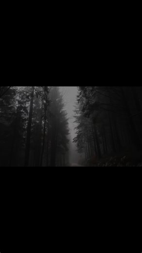 #destroylonely | who i am destroy lonely