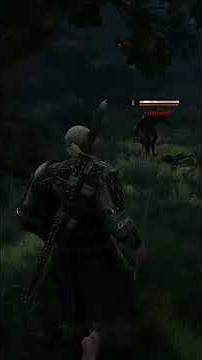The Witcher 3 Random Werewolf Encounter 🐺