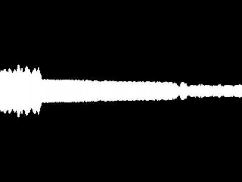 The survey project - record player song