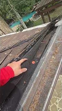 Why this roof keeps rusting under the drip edge