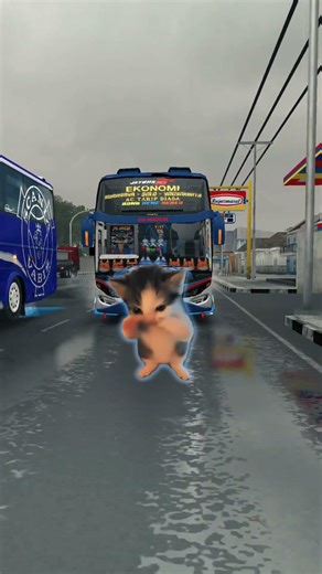 kicau kicau #bussimulatorindonesia #bussidmaleo #bussidupdate #bussid #shorts