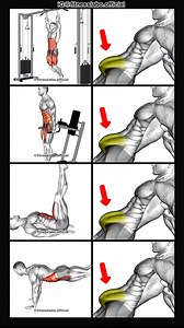✅ Lower Abs Workout ① Hanging Leg Raise ② Ab Tuck ③ Alternate Leg Raise ④ Pull-in 3 sets 12-15 reps #fitness #gym #exercise #workout #workoutroutine #exercisetips #fitnesstips #bodybuilding #abs #absworkout #absexercise | Fitnesslabo