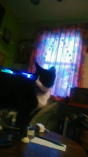 kayblade90 (@kayblade90)’s videos with original sound - kayblade90