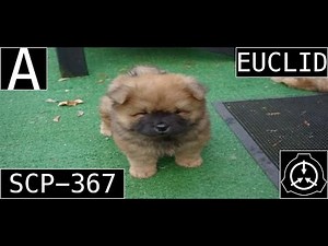 (Old) SCP-367 "Little Dog" [SCP Wikidot]