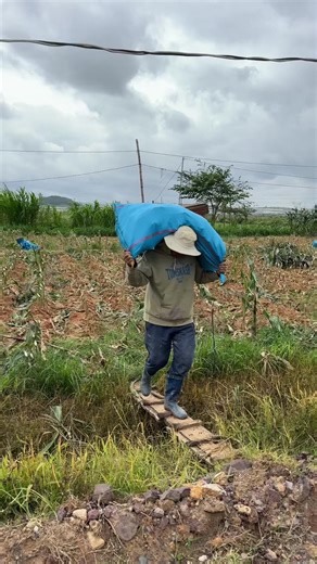 Laos Vegetables: Farming with the Community