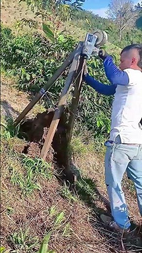 Root Removal Mastery: A DIY Approach to Clearing the Land