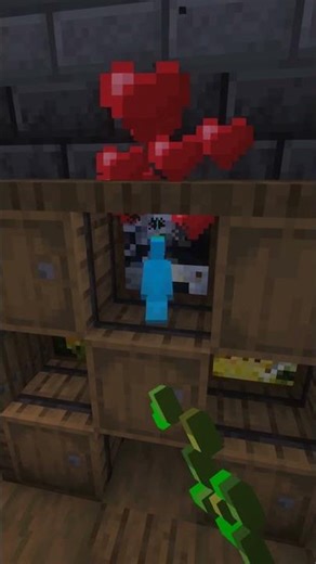 Storage, But My Pets Live Here 🐱🐶🦜 #minecraft #minecraftbuilding