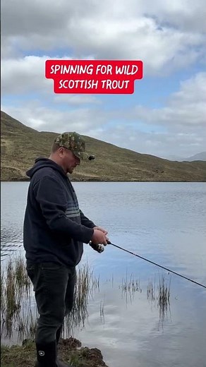 Spinning for wild trout in Scotland #fishing #troutfishing