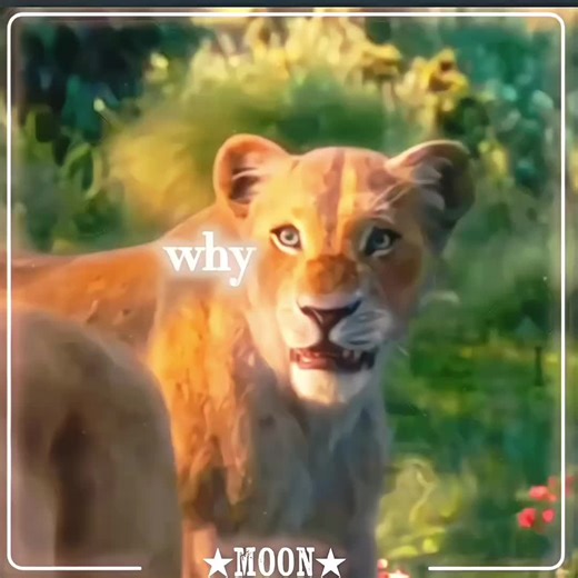 Nala's Bold Journey in Live Action Lion King