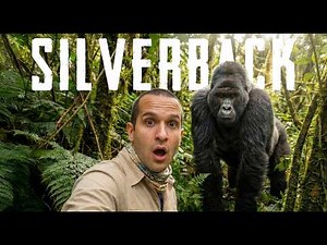 Meeting the World’s Rarest Gorillas | Wild Uganda🇺🇬