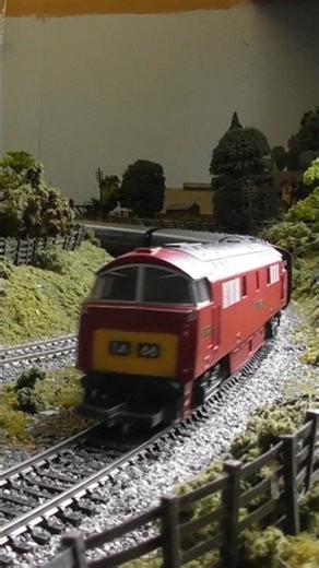 BR Western Region Class 52 Western Class D1016 Western Gladiator running on the SWMR.