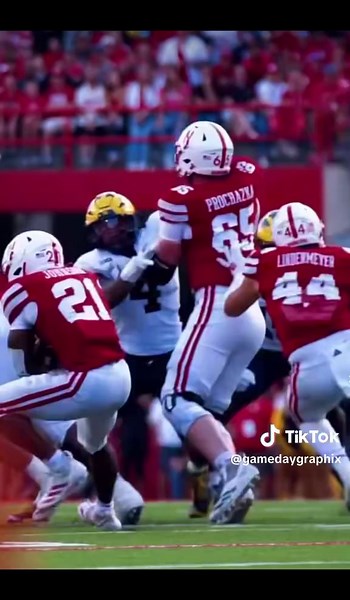 Michigan Wolverines College Football Highlights