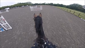 4.8K views · 396 reactions | Allens Hill show jumping arena hire Come...