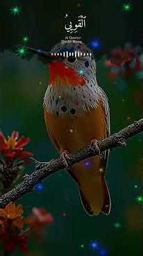 ASMA UL HUSNA WITH ARABIC TEXT, ARABIC RECITATION, ENGLISH TRANSLATION AND ENGLISH TRANSLITERATION 2