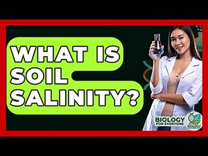 What Is Soil Salinity? - Biology For Everyone