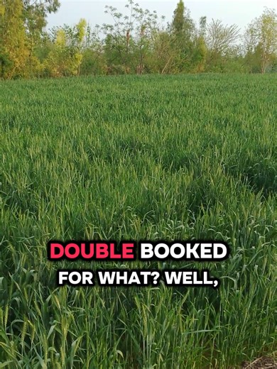 the funniest prank phone call ever 🤣#funnyprankcall😂😂 #phonecallprank #prankster #prankphonecalls📱 #fyp