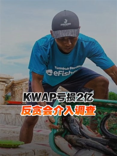 反贪会已针对公务员退休基金局（KWAP）投资印尼水产养殖科技公司eFishery，导致蒙受约2亿令吉损失一事展开调查。 #Pocketimes #百格 #公务员退休基金局 #KWAP #反贪会 #SPRM #eFishery