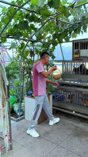 TrendyLifestyleGrowthStar# Is this the kind of idyllic rural life you dream of