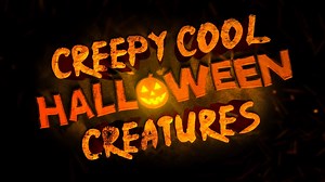 1.8K views · 104 reactions | We Love These Creepy Cool Halloween Creatures!  | Wild Kratts | Facebook