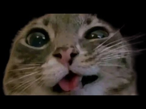 Transformers Prime the Game: Gameplay Part 1