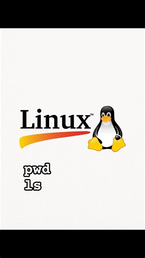 pwd & ls - Your First Linux Commands #linux #learnlinux #devwaymahab