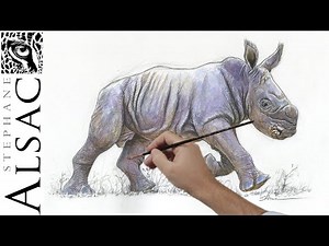 Drawing and painting a baby Rhino