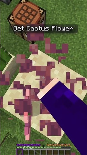 How to get a cactus flower in Minecraft