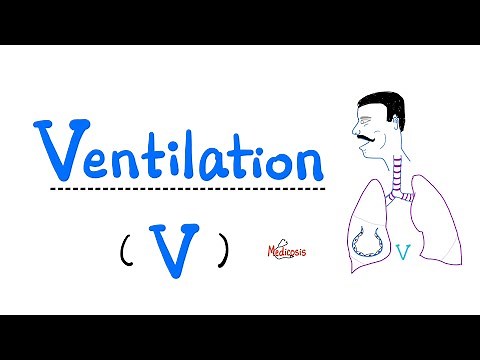 Ventilation (V), Hypoventilation & Hyperventilation - Respiratory System - Pulmonary Medicine